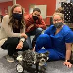 Students Create Wheelchair to Help Three-Legged Dog